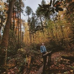 Meet your Posher, Fernando